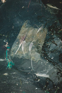 Abfall, Meeresverschmutzung, Mikroplastik, Müllentsorgung, Meer, Müll Abfall, Meeresverschmutzung, Mikroplastik, Müllentsorgung, Meer, Müll